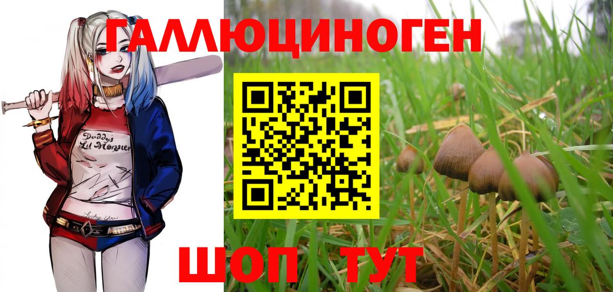 Галлюциногенные грибы MAGIC MUSHROOMS Сочи